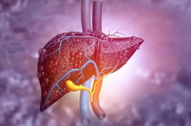 9 dấu hiệu báo động gan bạn có vấn đề