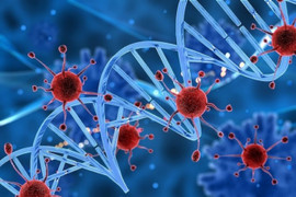 Bệnh ung thư hiếm gặp có triệu chứng giống vết côn trùng cắn