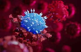 TP.HCM 3 lần xin nuôi cấy SARS-CoV-2, Bộ Y tế nói gì?