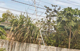 Tháo dỡ cây thông Noel, 6 người ở Lâm Đồng bị điện giật thương vong