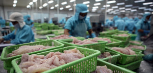 'Cá tỷ USD' của Việt Nam ngóng đơn từ Trung Quốc và Mỹ