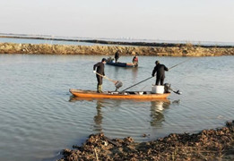 Mua hơn 12 tấn cá phóng sinh, cô gái bị truy tố, phạt 200 triệu đồng