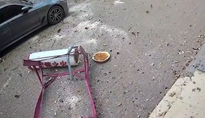 Bồn nước từ trên rơi xuống, người giao hàng thoát nạn trong gang tấc