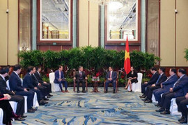 Triển khai dự án điện gió ngoài khơi Việt Nam để xuất khẩu sang Singapore