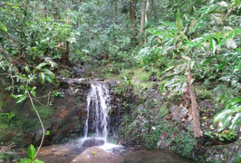 Thu hồi hơn 5.000 m2 đất của các công ty du lịch trong Vườn quốc gia Bạch Mã