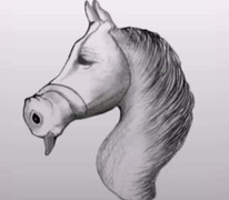 Chỉ người IQ cao mới trả lời đúng: Đây là con gì? 