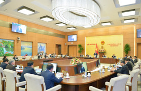 Xem xét, quyết định thành lập đơn vị hành chính cấp huyện, xã tại 10 tỉnh