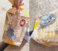 Mua bánh mỳ online, khách kinh hoàng nhìn thấy con chuột còn ngoe nguẩy