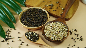 Giá tiêu hôm nay 15/2: Tăng nhẹ 500 đồng/kg