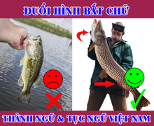 Đuổi hình bắt chữ: Đây là câu thành ngữ nào?