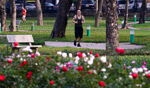 Dự báo thời tiết ngày 16/2: Nhiệt độ Hà Nội tăng nhẹ, gió Đông Bắc giật cấp 3