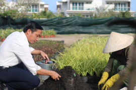 Đến resort 5 sao trải nghiệm trồng rau, nuôi gà