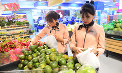 Saigon Co.op chung tay tiêu thụ cam sành Vĩnh Long