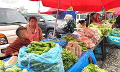 Chợ phiên biên giới Việt - Lào 