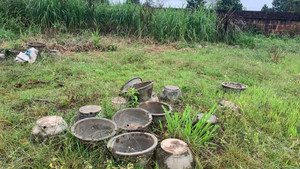 Bình Định: Khuôn viên khu di tích cấp quốc gia thành nơi trồng cỏ, bỏ rác 