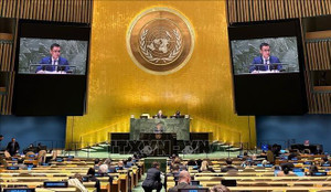 Việt Nam kêu gọi chấm dứt xung đột quân sự, giải pháp hòa bình về vấn đề Ukraine