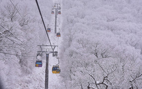 Cảnh diễm lệ của mùa đông Gangwon, Hàn Quốc khiến du khách đắm say