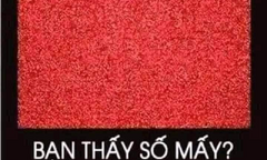 Bạn nhìn thấy những con số nào?