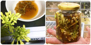 Uống hoa đu đủ đực ngâm mật ong vào lúc nào?