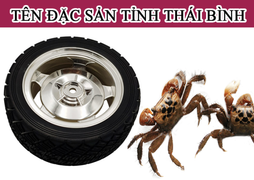 Đây là loại đặc sản nào của tỉnh Thái Bình?