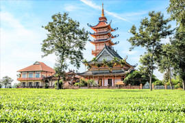 Ảnh: Chiêm ngưỡng chùa Bửu Minh và nét đẹp cổ kính tồn tại cùng tháng năm