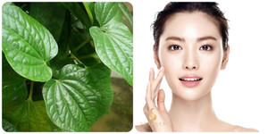 Lá trầu không có tác dụng gì với da mặt?