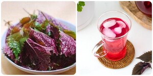 Cách nấu nước lá tía tô uống đẹp da