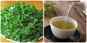 Uống nước ngải cứu hàng ngày có tốt không?