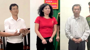 Vì sao 3 bị can Đặng Thị Hàn Ni, Đặng Anh Quân và Trần Văn Sỹ bị bắt?