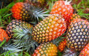 Mỗi ngày ăn một quả dứa có tác dụng gì?