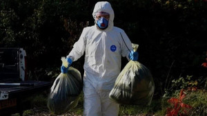 Những người ở TP.HCM được lấy mẫu xét nghiệm cúm A H5N1