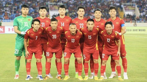 Bóng đá Việt Nam cần kiên nhẫn với HLV Troussier vì giấc mơ World Cup