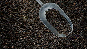 Giá tiêu hôm nay 1/3: Quay đầu giảm 500 đồng/kg