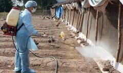Chuyên gia: Phải đánh giá mức độ nguy hiểm của cúm A/H5N1