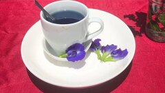 Uống trà hoa đậu biếc đúng cách, tốt cho sức khỏe