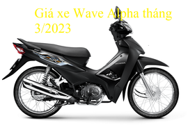 Bảng giá xe Wave Alpha mới nhất tháng 3/2023