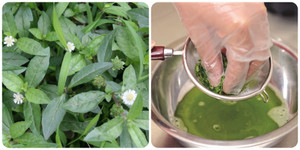 Uống nước nhọ nồi có tốt không?