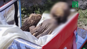 Người đàn ông Peru coi xác ướp 800 năm tuổi như bạn gái