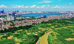 Hà Nội muốn Đông Anh, Gia Lâm lên quận ngay năm nay