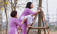 Hà Nội: Du khách trèo cây, leo thang để chụp ảnh với hoa phong linh