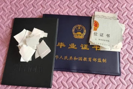 Không tìm được việc làm, sinh viên xé nát bằng đại học 