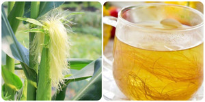 Uống nước râu ngô thường xuyên có tốt không?