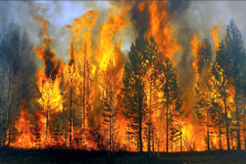 Cháy rừng ở Kon Tum, hai người tử vong