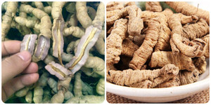 Ba kích có tác dụng gì?