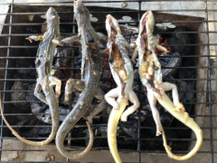 Đặc sản Bình Thuận được làm từ 'vua của sa mạc', nhìn thì sợ nhưng ăn là ghiền