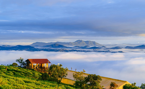 Kinh nghiệm đi Đà Lạt: 5 đồi săn mây lý tưởng nhất