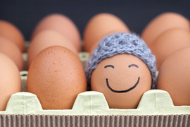 Trứng gà và trứng ngỗng, loại nào tốt hơn? 
