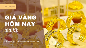 Giá vàng hôm nay 11/3: Kim loại quý bật tăng