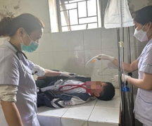 Hà Tĩnh: 11 học sinh nhập viện sau khi ăn phải quả ngô đồng