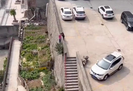 Dũng cảm cứu bạn, hai bé trai tiểu học nhận triệu lời khen ngợi 